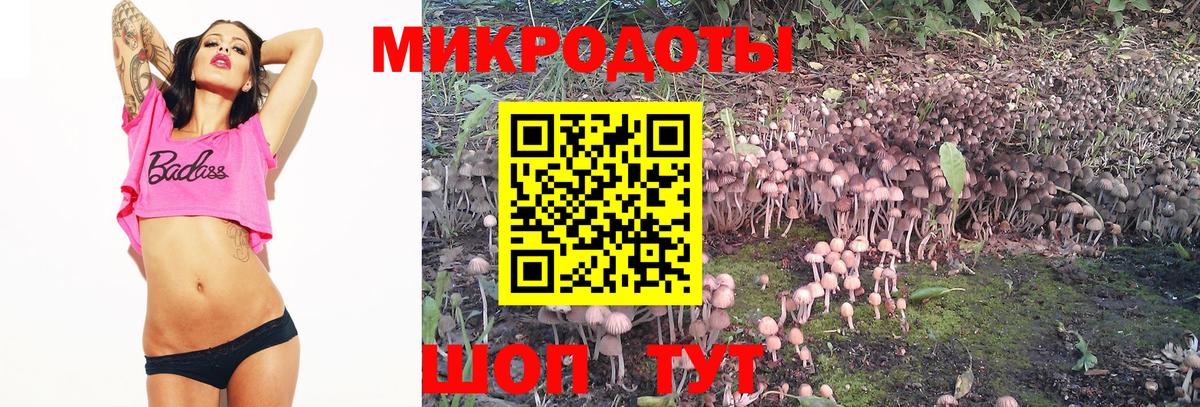 закладки  Галлюциногенные грибы Magic Shrooms  Вход с VPN  Псилоцибиновые грибы мицелий  Заводоуковск 